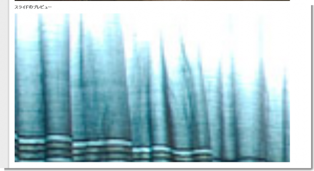 イメージの追加 編集 ‹ 繁盛サロンデザインNo3 — WordPress